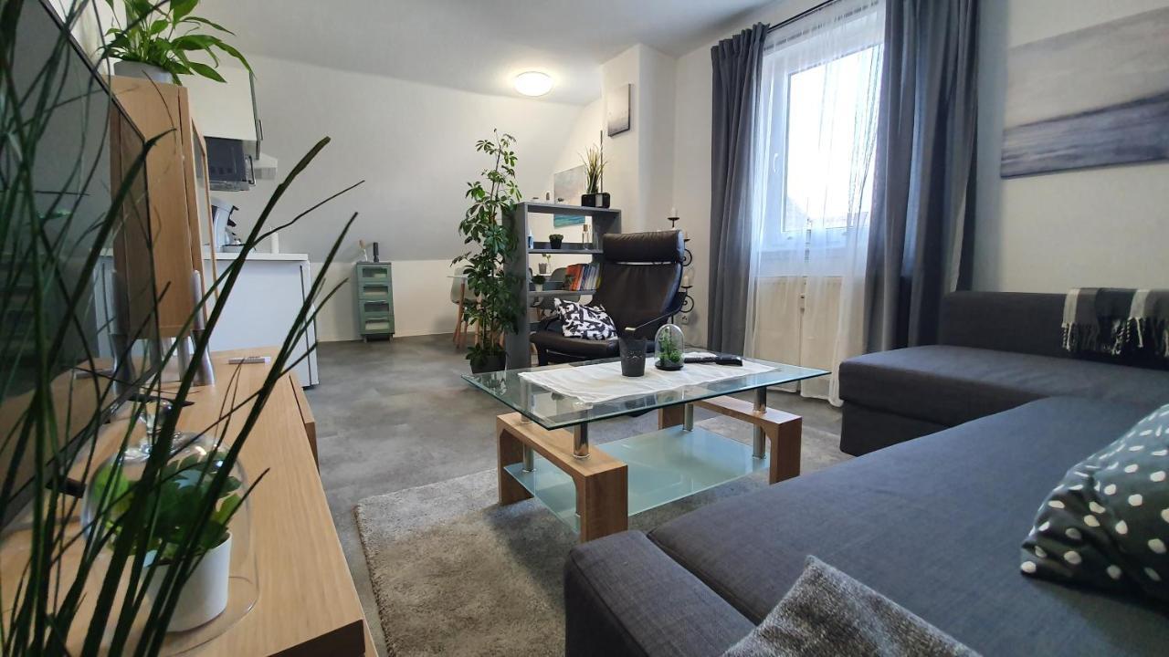 Ferienwohnung Elsa Hungen المظهر الخارجي الصورة